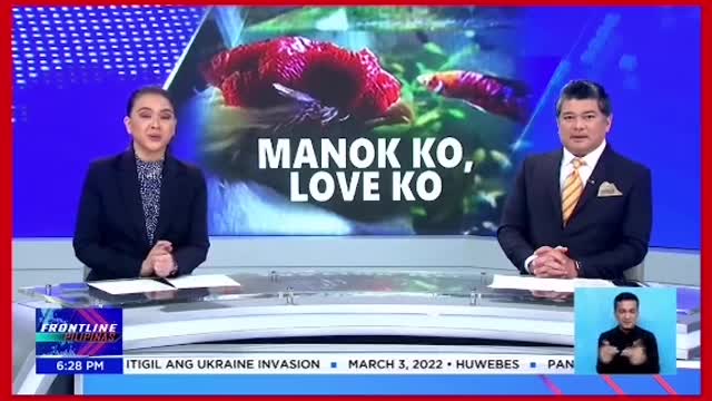 Tribute ng isang netizen sa pumanaw na alagang manok