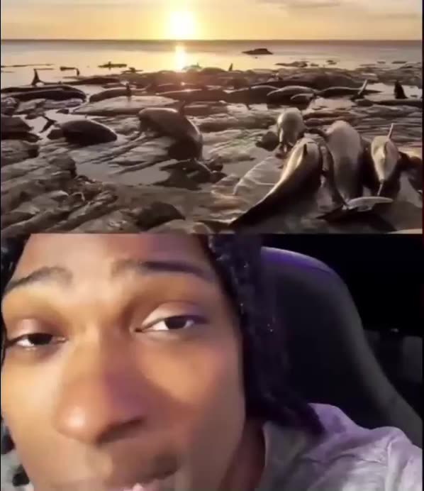 What Is Going On In Our Oceans??