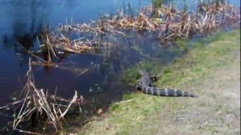 golf course water hazard