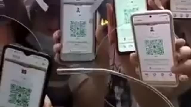 A green QR code is required to access public transport, shops and work.