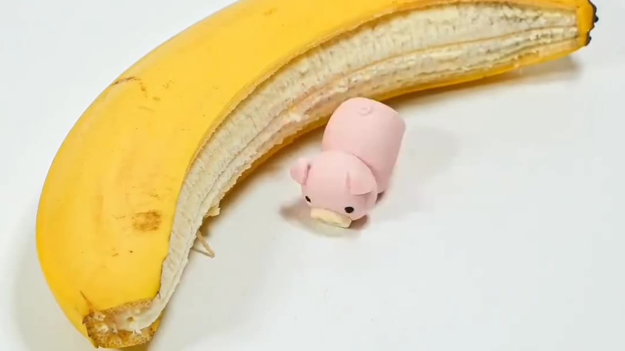 cute piggy eating banana for breakfast