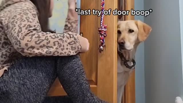 guess I gotta give the door some insulin