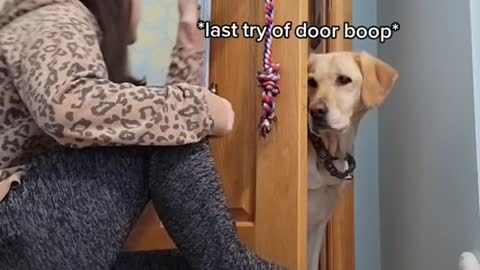 guess I gotta give the door some insulin