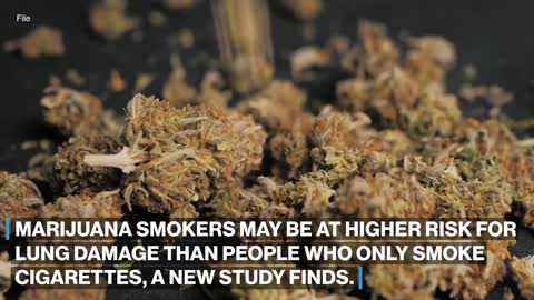 Marijuana smokers could be at more risk for emphysema than cigarette smokers_ Study