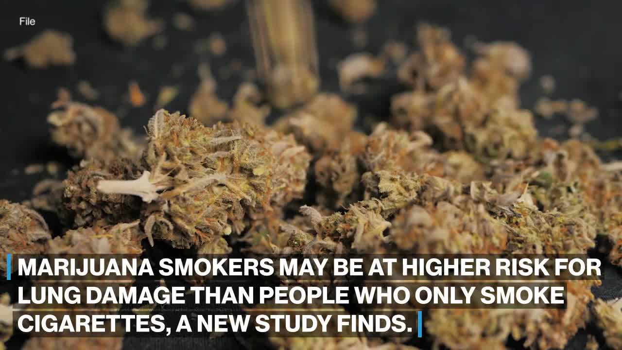 Marijuana smokers could be at more risk for emphysema than cigarette smokers_ Study