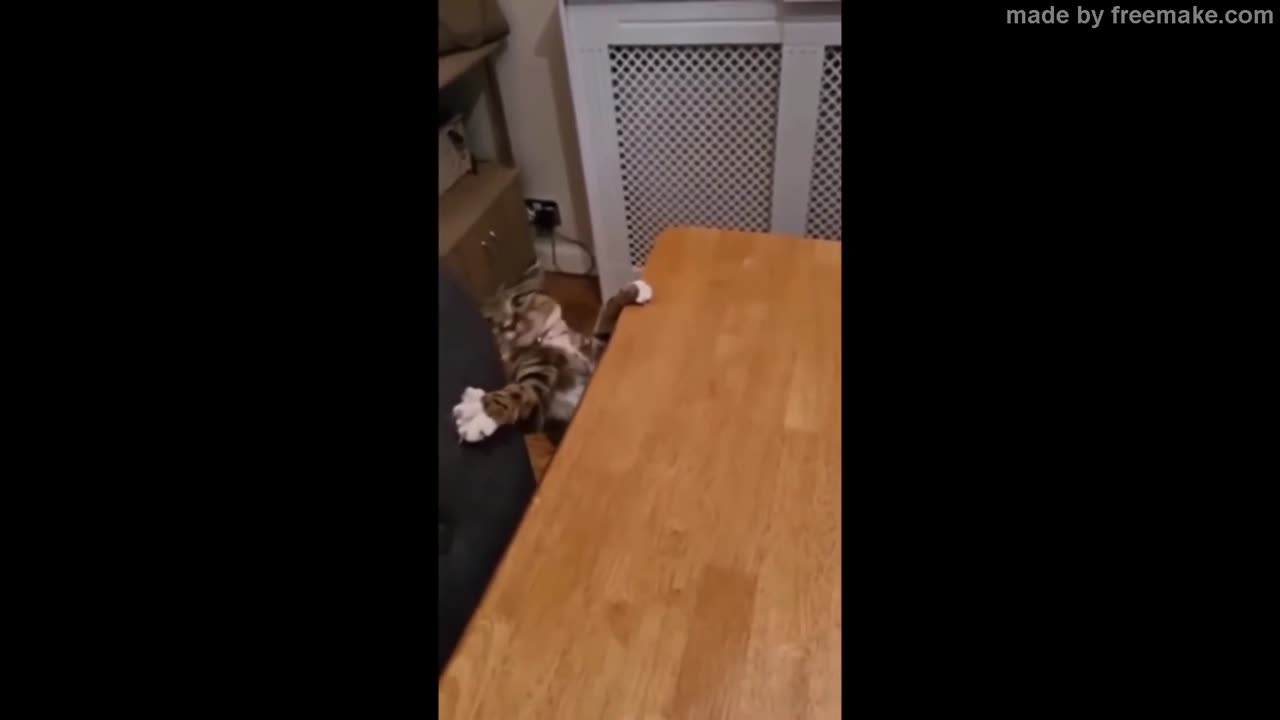 funny animals #shorts