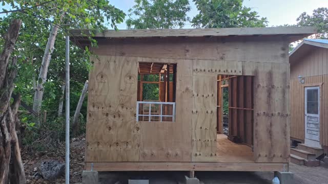 PLYWOOD TIME