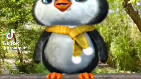Cute video