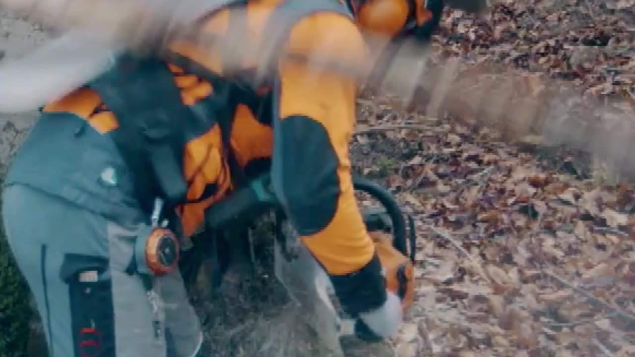 Safety Innovations for Lumberjacks at Work