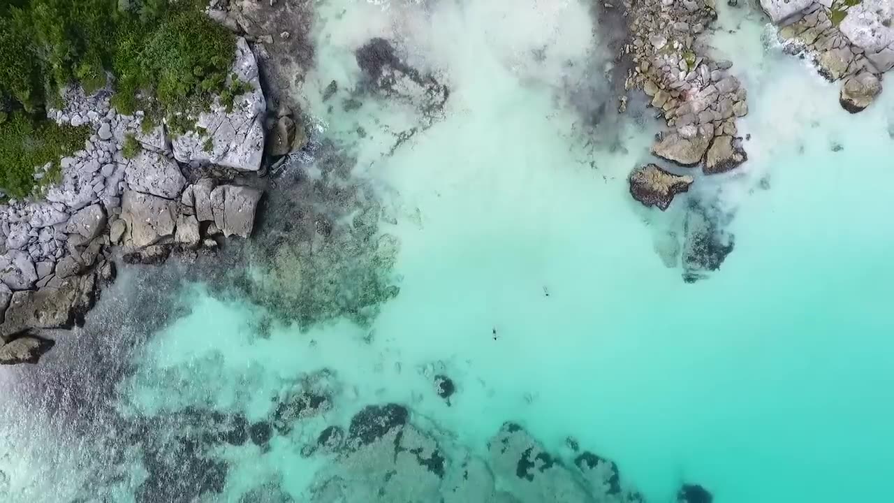 Tranquil Beachscape: Aerial Views of Serene Sea Waves