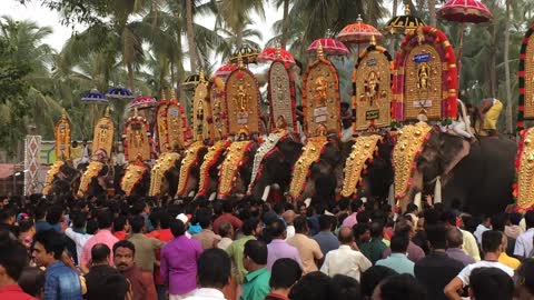 Thrissur pooram . Elephant army.