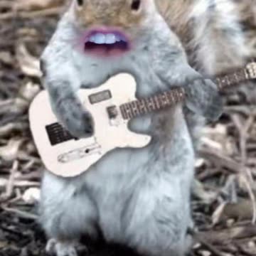 "I'm Back!" (Sack of Acorns part 2)