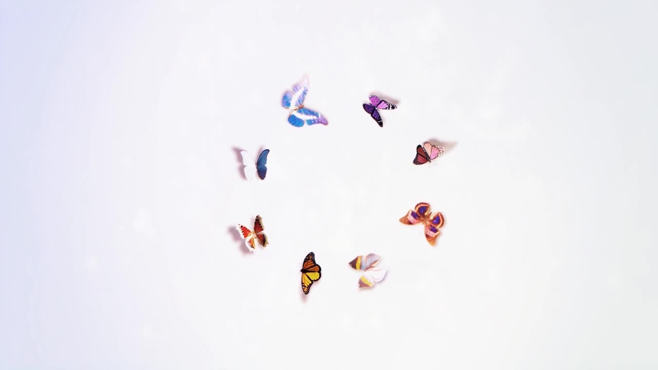 Borboletas por Rafael Batista - After Effects
