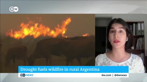 Firefighters in northern Argentina are struggling to contain massive wildfires | DW News