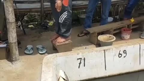 This is a beautiful and charming water-dwelling species