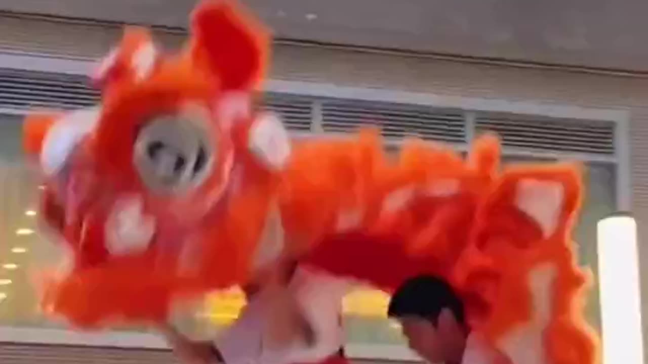 "Lion Dance Extravaganza! 🦁✨ Traditional Chinese Performance"