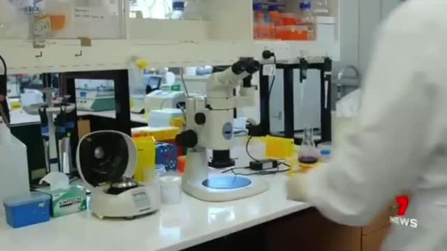 Micro needle array patch vax