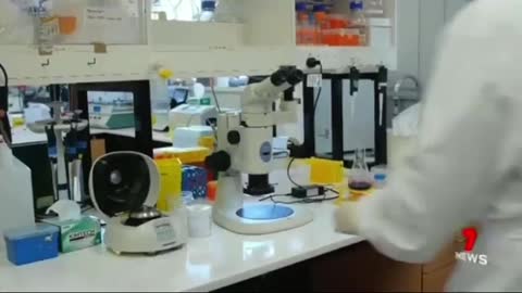 Micro needle array patch vax