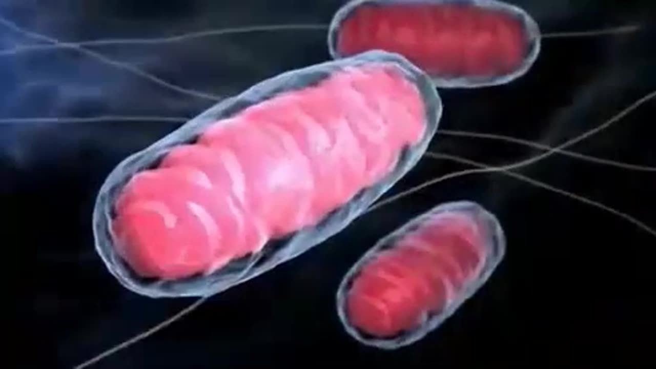 MoreMito Miracles: Amputee uses REJUVENATE Mitochondria enhancement on pain