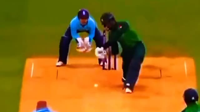 fans-video cricket lovers-video #cricket #cricketlover