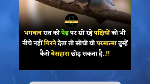 भगवान पेड़ पर सो रहे पक्षियों को नीचे गिरने देता तो वो परमात्मा तुम्हें कैसे बेसहारा छोड़ सकता है