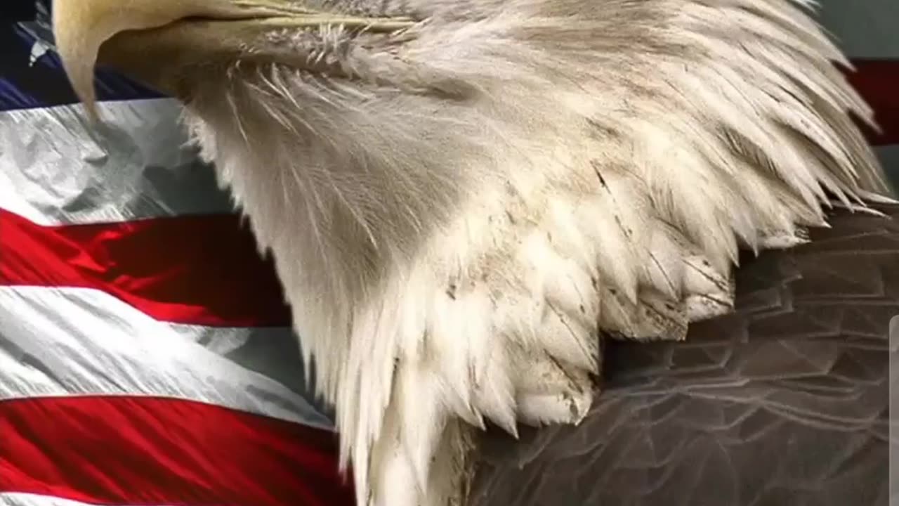 STEVE BANNON ~on "Fire 🔥" to SAVE AMERICA 🇺🇸 (and the World).