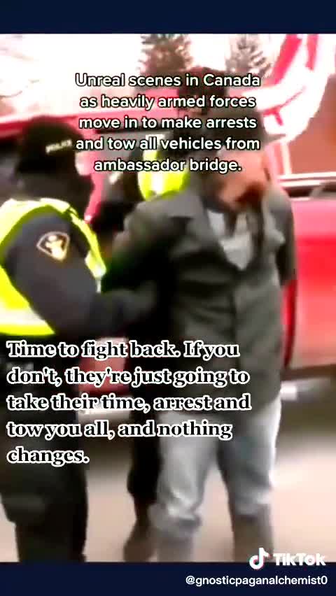 Unreal Scenes: Arrests Being Made At The Canadian Ambassador Bridge