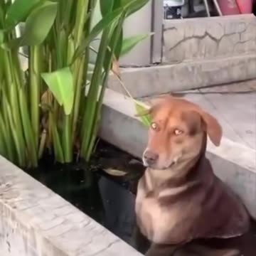 How hot is it in Toronto 😂