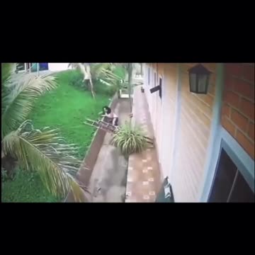 A women fell from the roof and her husband didn’t think twice before jumping to help her❤️.