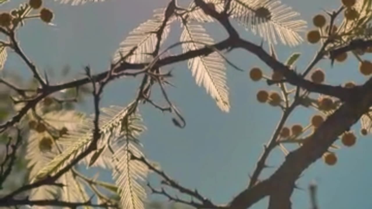 Best of trending video #viral