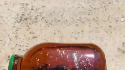 Crushing crunchy bottles wow