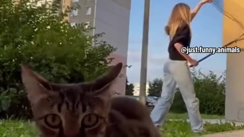 Funny video entertainment 🤣🤣