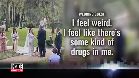 Wedding Food Was Laced With Marijuana_ Cops