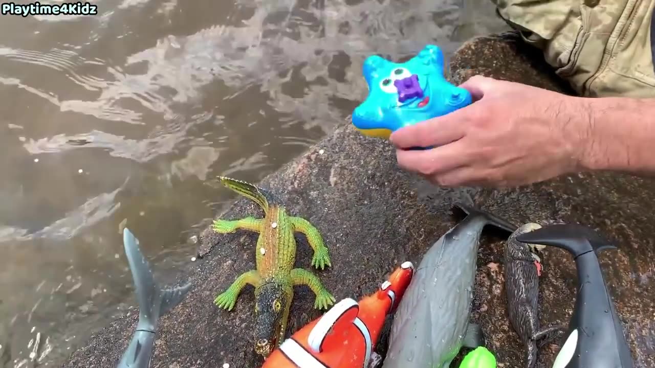 Sea Animal Toys This Summer at the Shore