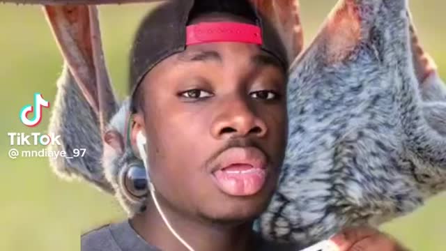 Animals so weird it confuses scientists