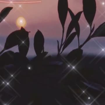 #beautifulwords - beautiful words and ideas 115 #reels #relaxing #shorts #music