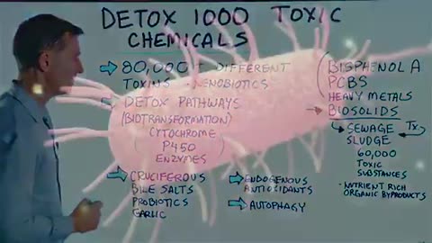 Detoxify 1000s of Chemicals From Your Body Just With Food