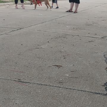 Karma likes sliders.