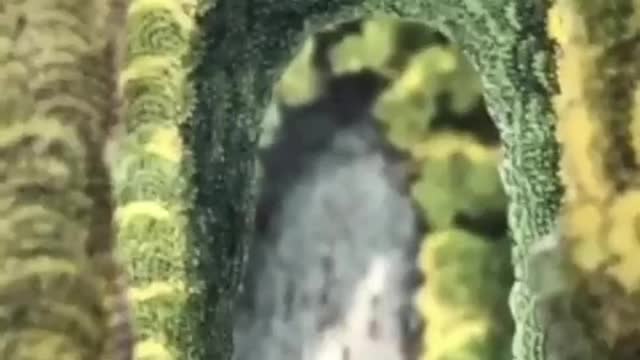 1830’s Virtual Reality