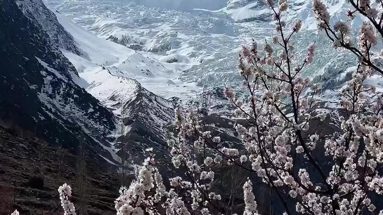 Enjoying Spring Season At Mountains