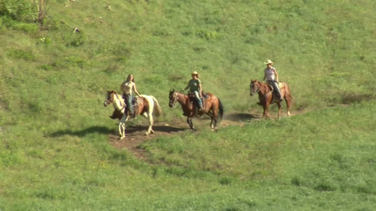 Three Young Women On Horses Walk Across A Trail