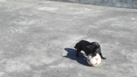 O Futuro Jogador de Futebol