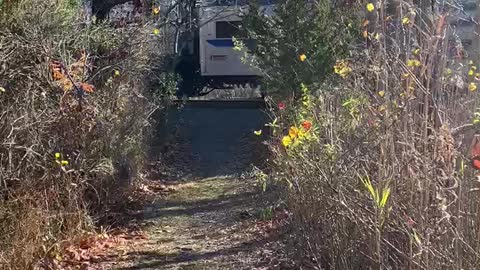 RAN TO CATCH THE TRAIN!