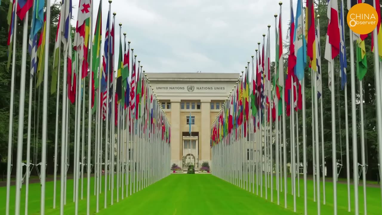 Little Pinks in Disarray, SUDDENLY Stop Denouncing the US, Why_