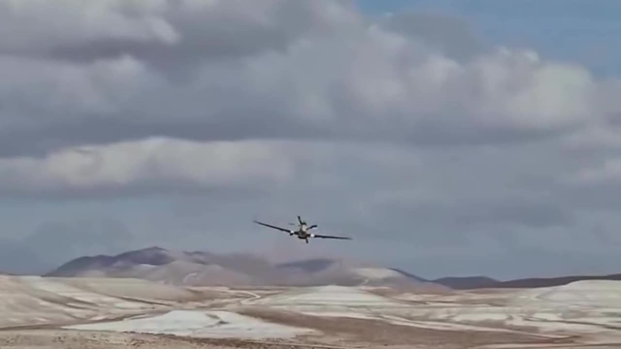exciting Mustang sighting