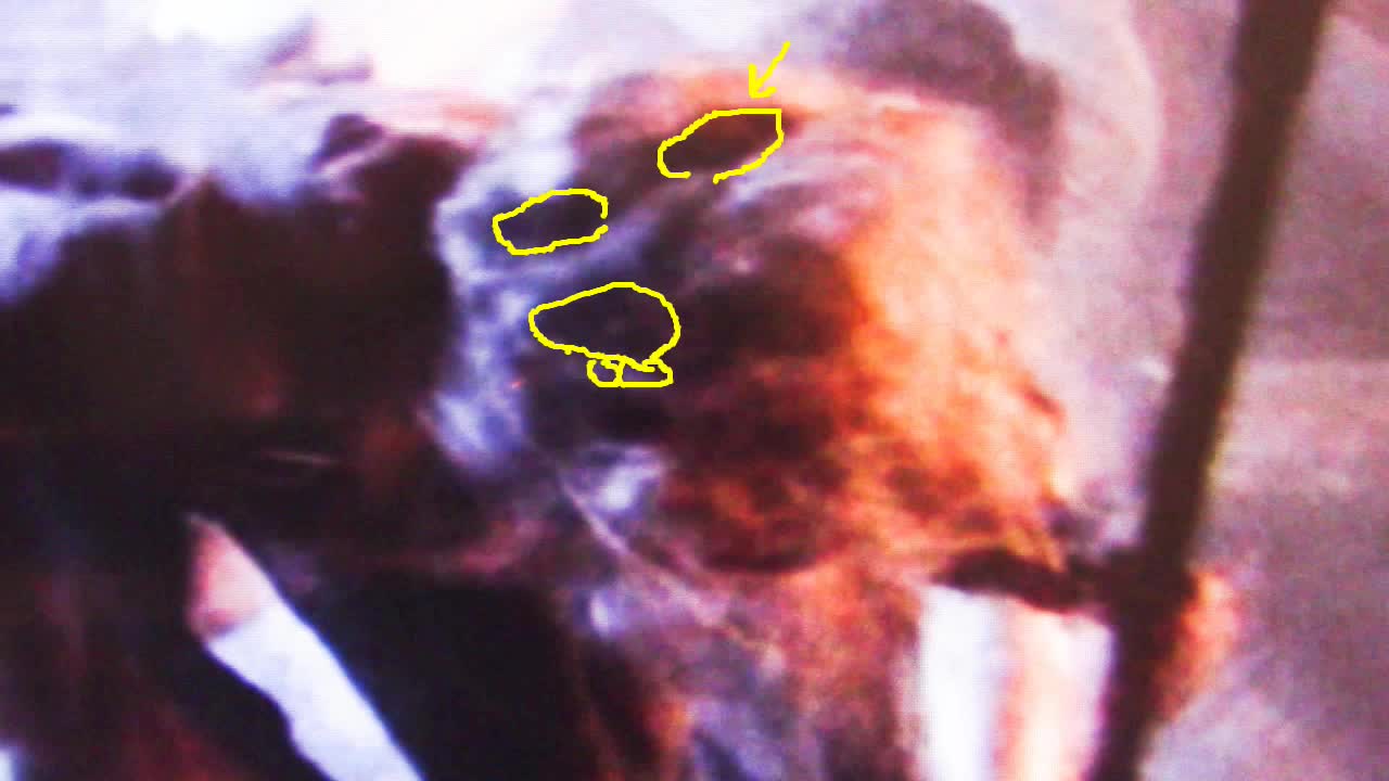 145. REPTILIAN ALIENS IN ALIENS VOL 12