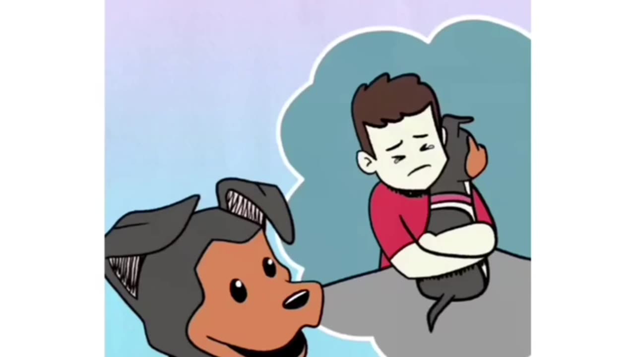 Dogs love ❤️