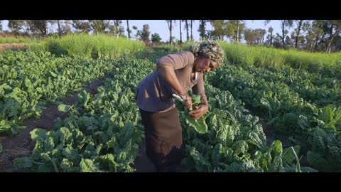 Regenerative Farming | BOSS