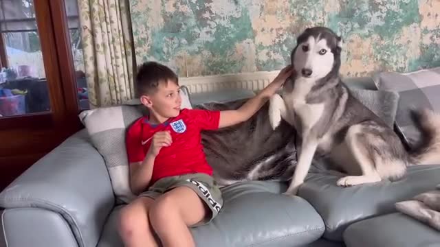 Huskies Hilarious Reaction To My Kids Fake Crying Prank!!😂. [CUTEST REACTIONS EVER!!]