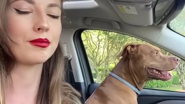 #babypleasedontgo #trend #trendy #fyp #foryou #viral #dogsoftiktok